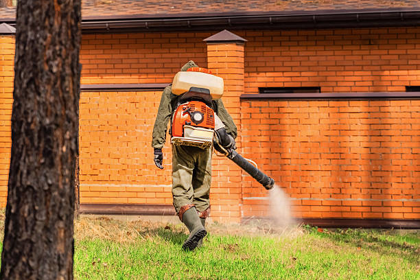 Bed Bug Clearance Verification and Documentation in Taylor Lake Village